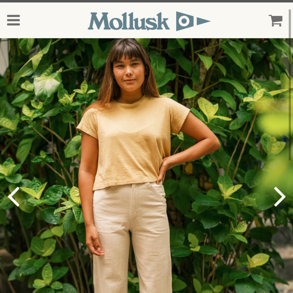 Mollusk Painter Pants